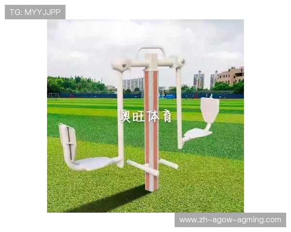 健身器材厂家代理政策及其对体育器械市场的推动作用