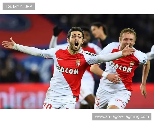 法甲联赛稳定性研究报告：赛事组织、参赛制度与经济状况探析