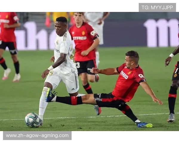 青海卫视直播西甲联赛节目及频道介绍